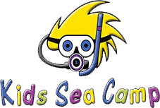 Kids Sea Camp logo